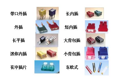 �|�W������܇(ch��)���U(xi��n)�z���ɶ�ʢ�������